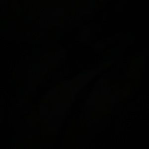 Meet your Posher, Bridgette